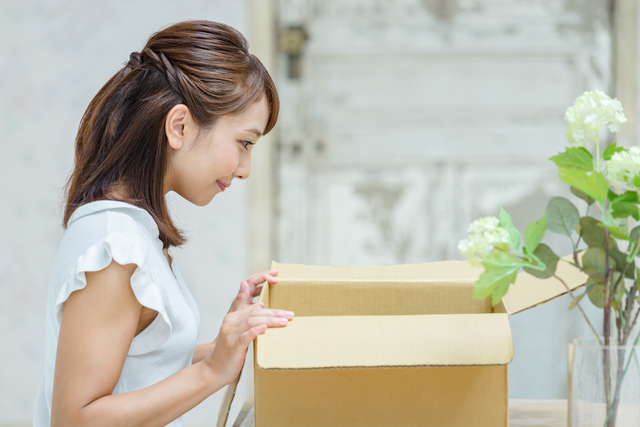 ダンボールは虫の住処になりやすい その原因と害虫対策のポイント ミツモア