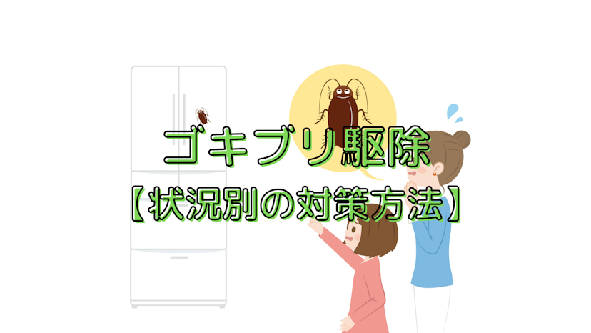 ゴキブリを確実に駆除する方法!苦手な人でもできる駆除剤の使い方を解説