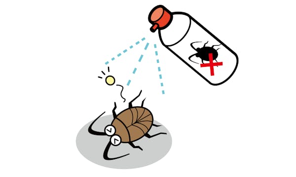 家中のゴキブリを確実に駆除 苦手な人でも徹底的にできる退治方法 大量発生した時の対処法を紹介 ミツモア 家中のゴキブリを確実に駆除 苦手な人でも徹底的にできる退治方法 大量発生した時の対処法を紹介 ミツモア