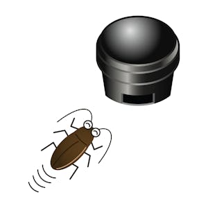 ゴキブリ対策をすべき時期 場所 方法は ポイントをおさえて効率的に予防 駆除しよう ゴキブリ対策をすべき時期 場所 方法は ポイントをおさえて効率的に予防 駆除しよう