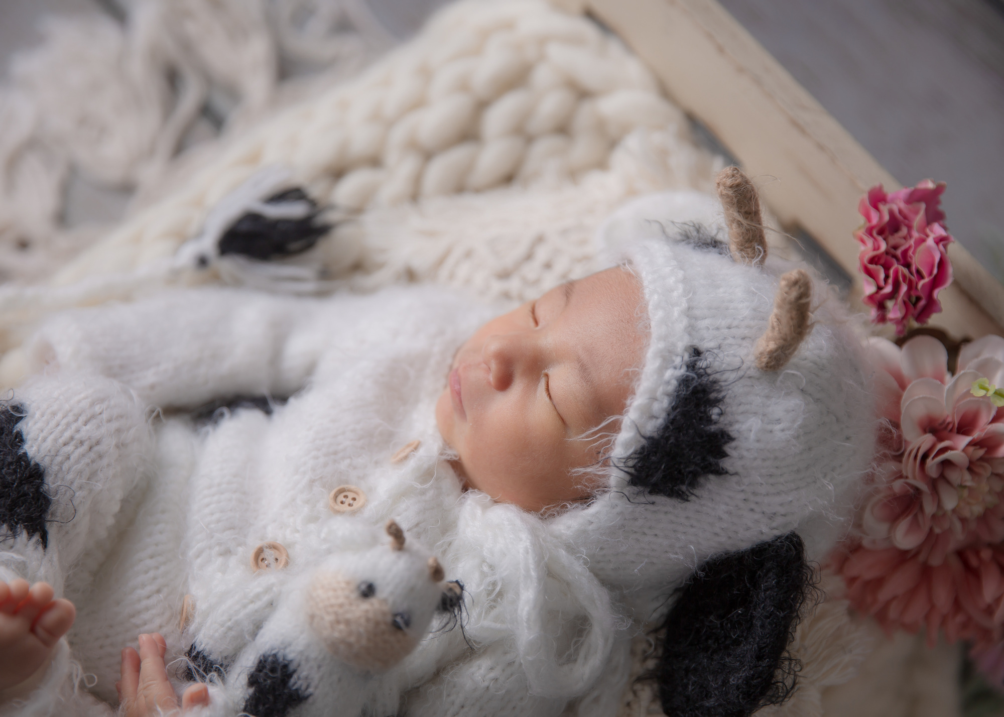 ニューボーンフォトはいつからいつまで 素朴な疑問を徹底解消 ミツモア