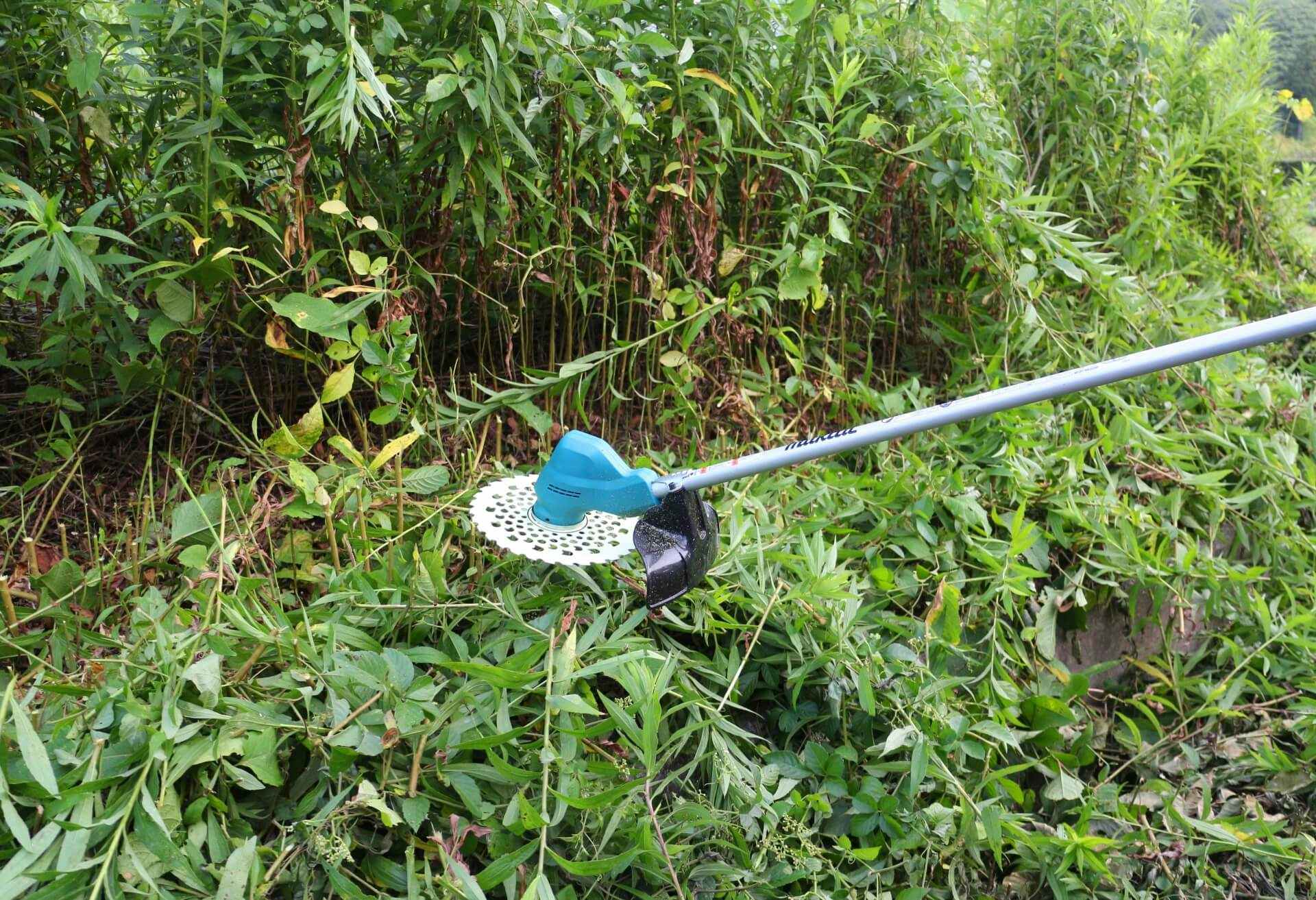 草刈り代行の費用相場 料金体系や業者の選び方も解説 庭か空地かで費用が違う 草刈り代行の費用相場 料金体系や業者の選び方も解説 庭か空地かで費用が違う