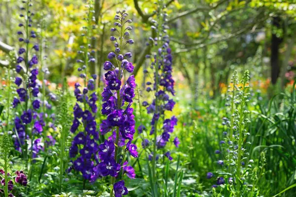 Pdpib6j6ltba8m Pdpib6j6ltba8m