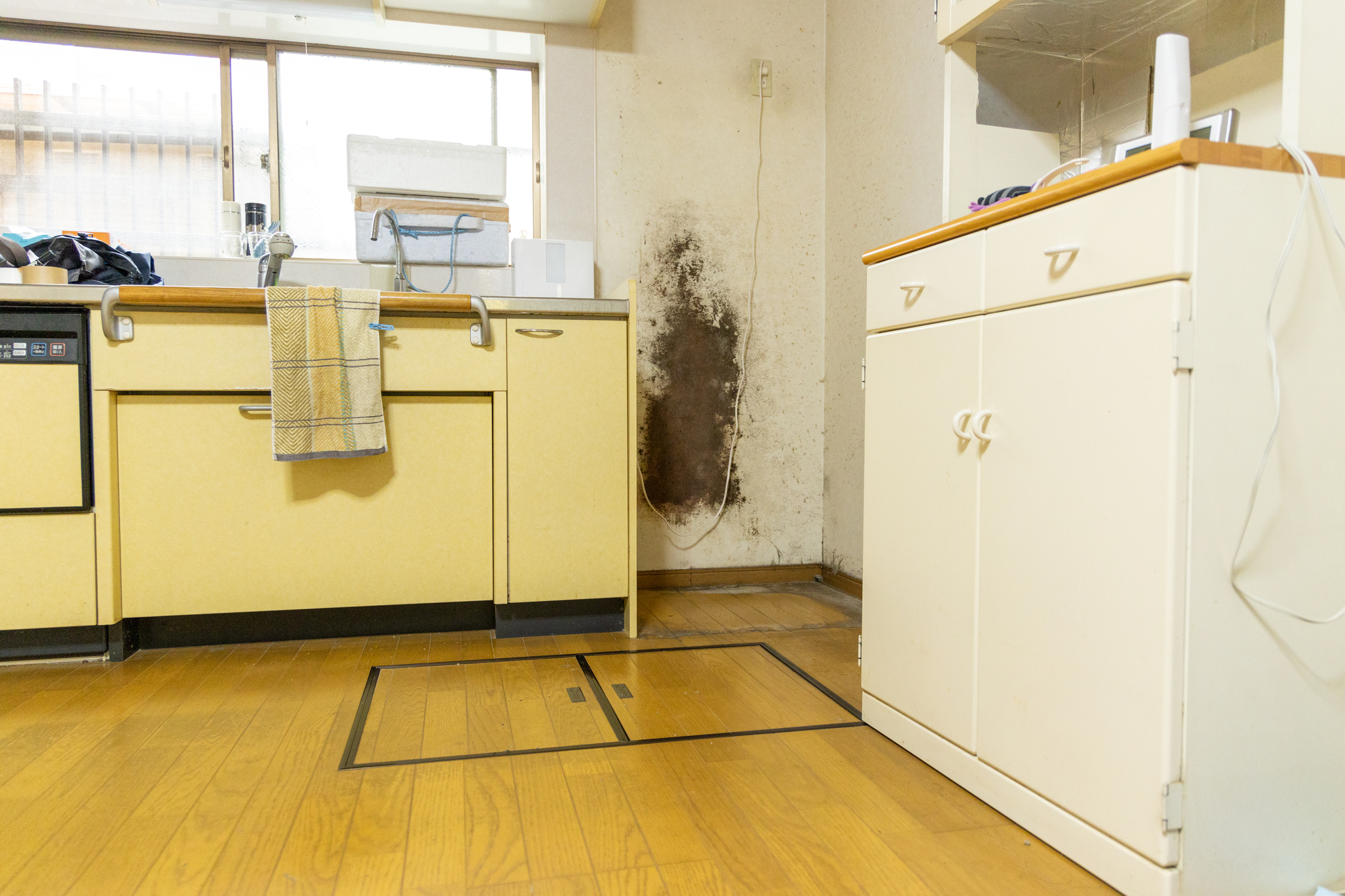 壁紙のカビを安全に取り除く3つの方法 クエン酸や重曹が大活躍