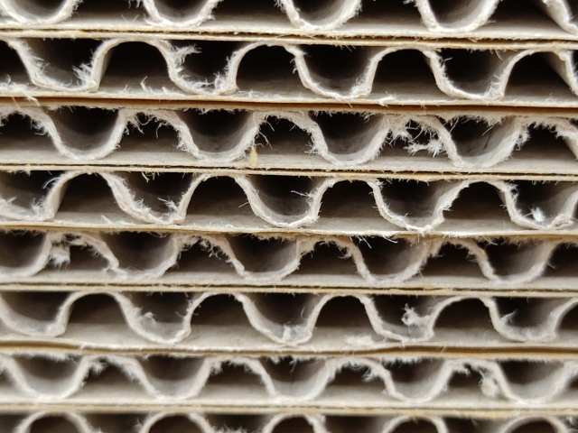 ゴキブリはダンボールが大好き 寄せ付けない対策や注意点を解説 ダンボール保管はngなのか