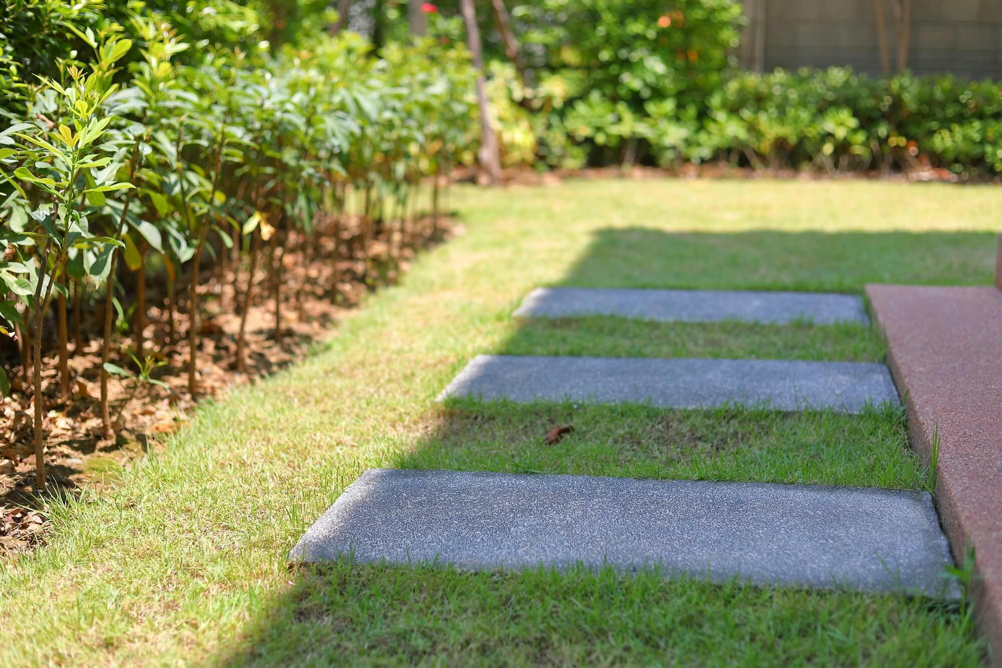 庭の芝生を張り替える方法 自分で簡単にする手順やコツ 依頼する費用相場 最適な時期も解説 庭の芝生を張り替える方法 自分で簡単にする手順やコツ 依頼する費用相場 最適な時期も解説