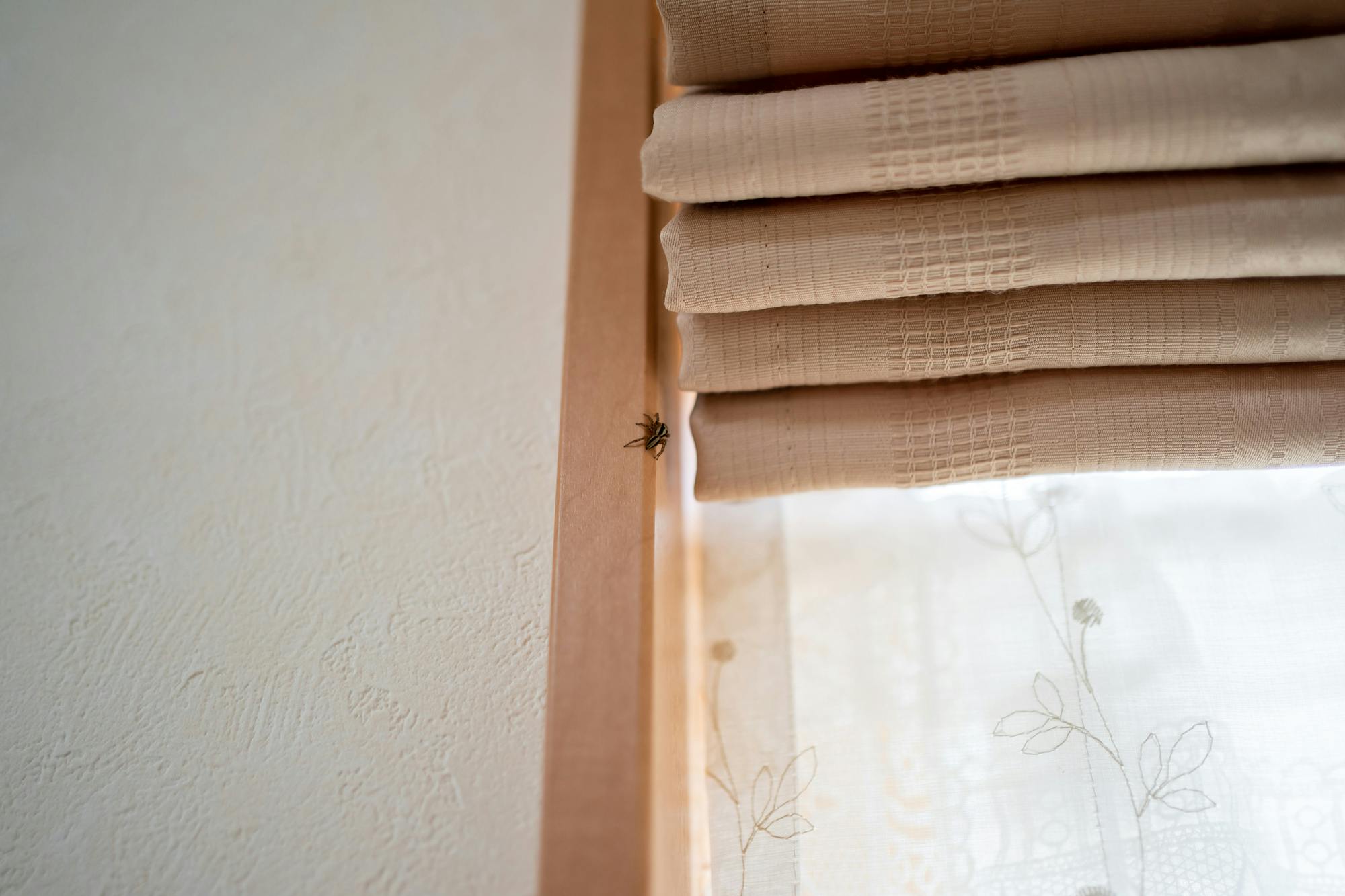 家の中によくいる小さい虫は何 どこから出てくるの 種類一覧を確認して正しく駆除しよう ミツモア 家の中によくいる小さい虫は何 どこから出てくるの 種類一覧を確認して正しく駆除しよう ミツモア