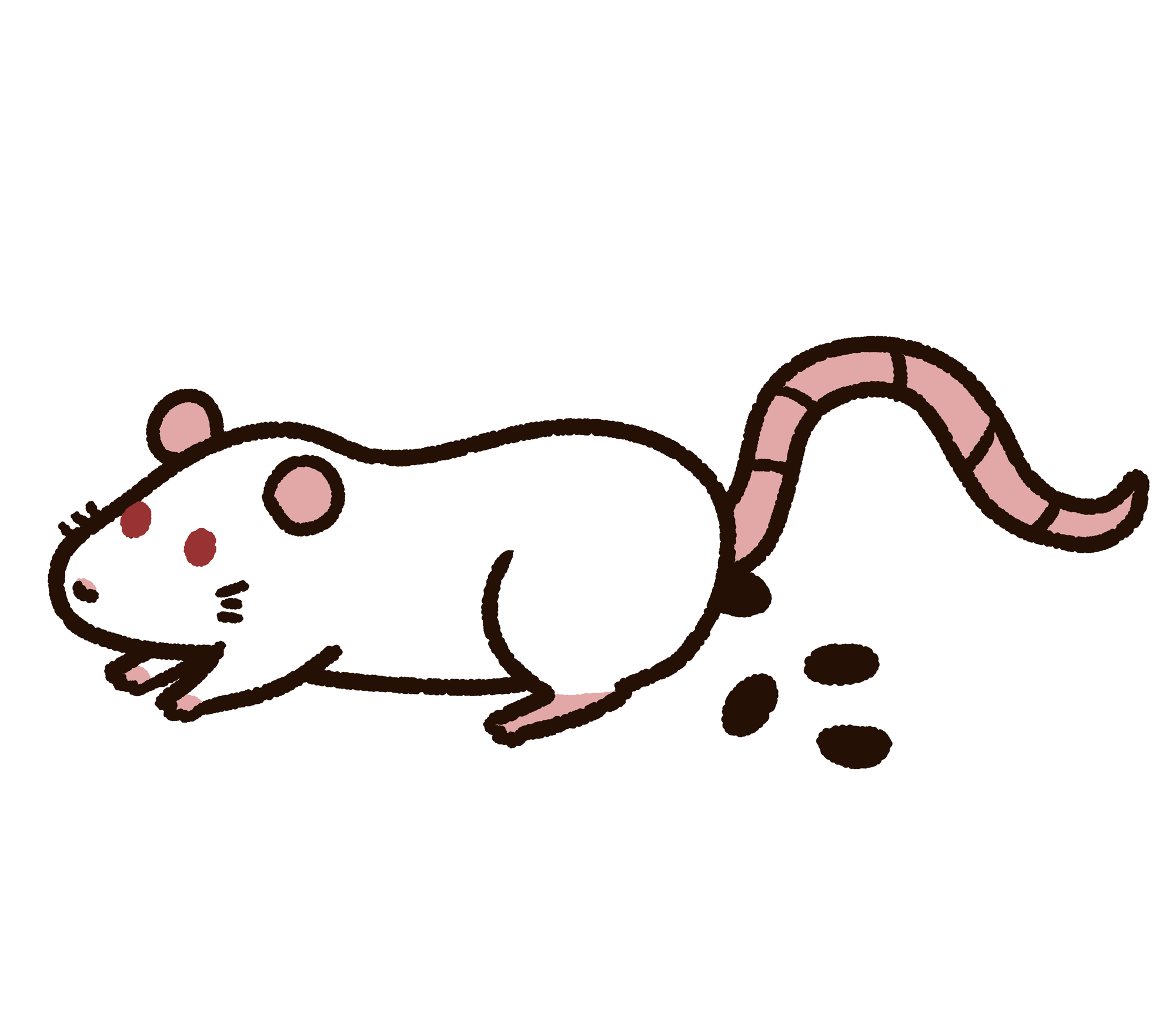 ネズミのふんを見つけたときの対処法は 駆除の方法や注意点を紹介 ミツモア