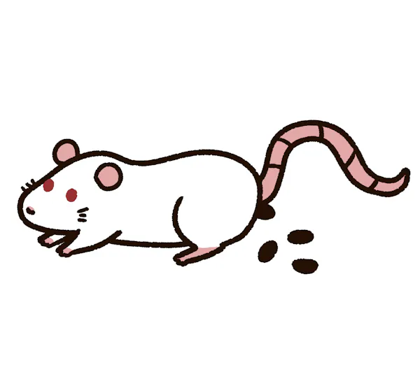 ネズミのふんを見つけたときの対処法は 駆除の方法や注意点を紹介 ミツモア ネズミのふんを見つけたときの対処法は 駆除の方法や注意点を紹介 ミツモア