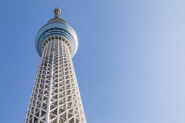 デザインアンテナってどんなアンテナ よくある失敗や取り付け費用を解説