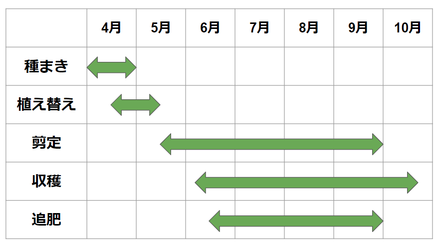 キュウリに剪定は必要 栽培方法や育てるコツもわかりやすく解説