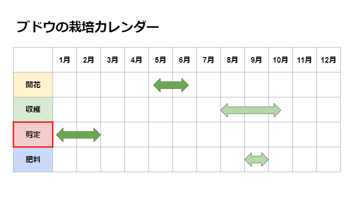 ぶどうの剪定の正しい方法を解説 年数や品種によって異なる点に注意