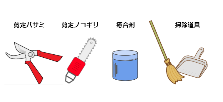 オリーブの剪定の時期や方法は 上手な剪定のコツや挿し木の仕方も