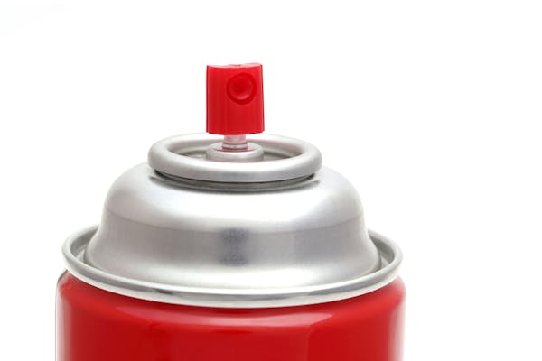 観葉植物に虫がわかないようにする対策は 育てる環境にも注意 観葉植物に虫がわかないようにする対策は 育てる環境にも注意