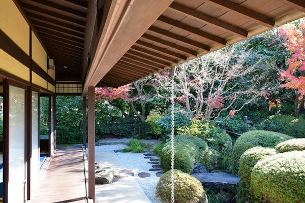 庭のツツジを剪定する方法 時期 花芽を切らずに樹形を整えるコツや切り方も紹介 庭のツツジを剪定する方法 時期 花芽を切らずに樹形を整えるコツや切り方も紹介