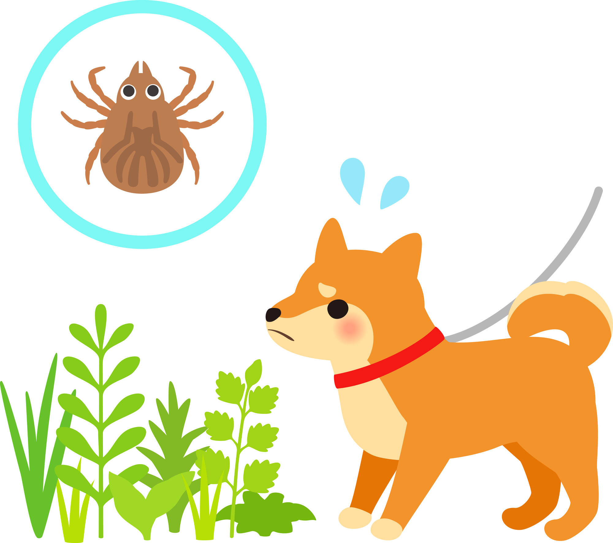 マダニの生態と被害 危険なマダニの対策とかまれたときの対処法 ミツモア