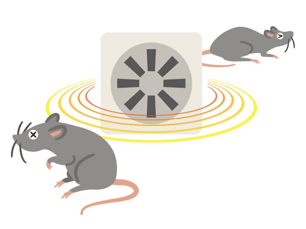 簡単 ネズミの駆除 撃退方法5選 自分でできる効果的な対策と 業者に依頼する場合の費用 ミツモア 簡単 ネズミの駆除 撃退方法5選 自分でできる効果的な対策と 業者に依頼する場合の費用 ミツモア