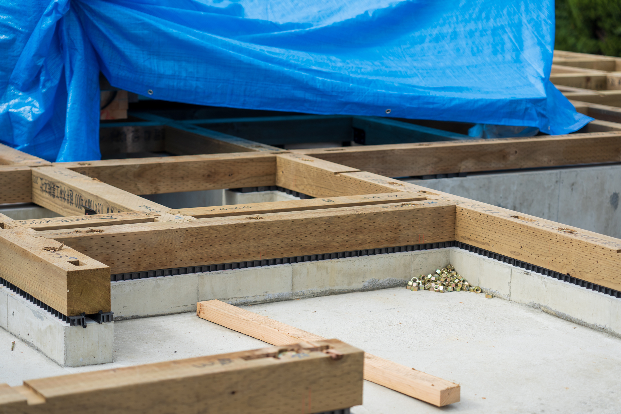 防蟻処理の目的と重要性とは 実施タイミングや費用を解説します ミツモア