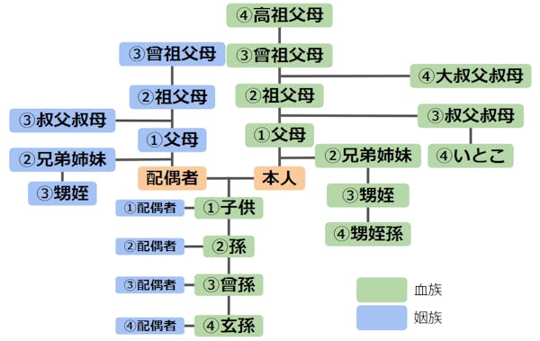 親等図