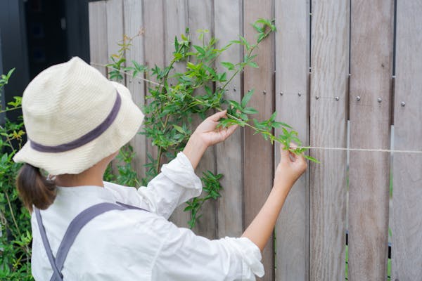 モッコウバラの剪定はいつする 正しい剪定方法や注意点を解説