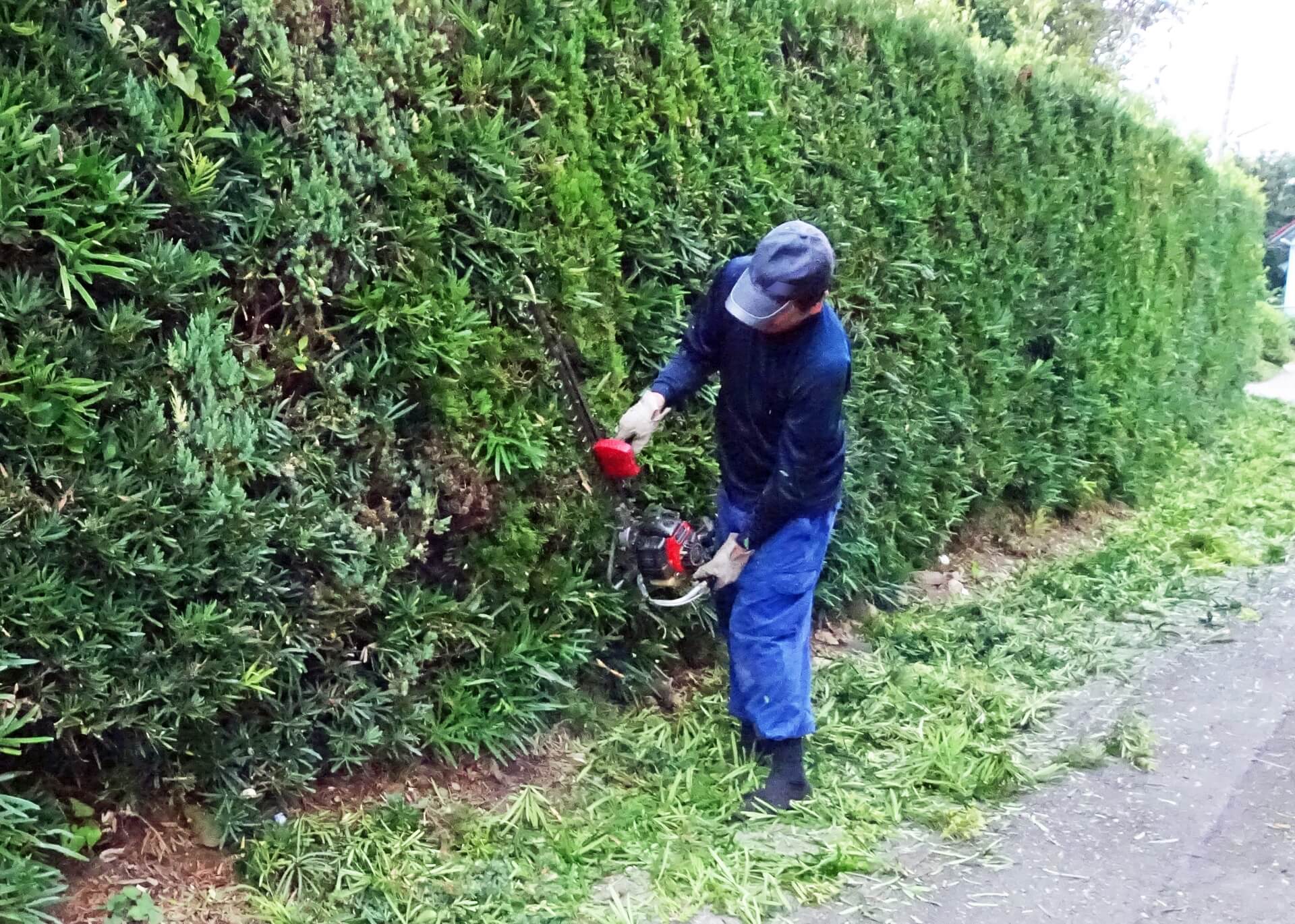 種類別 庭木の剪定時期一覧 最適な季節やタイミングは 木をダメにしない剪定