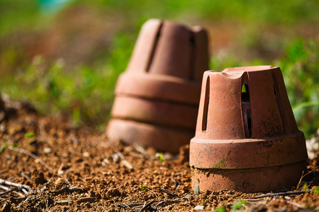 ダンゴムシを駆除しよう ダンゴムシの特徴やおすすめの駆除剤を紹介