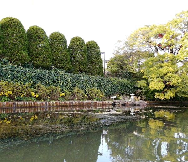 種類別 庭木の剪定時期一覧 最適な季節やタイミングは 木をダメにしない剪定 種類別 庭木の剪定時期一覧 最適な季節やタイミングは 木をダメにしない剪定