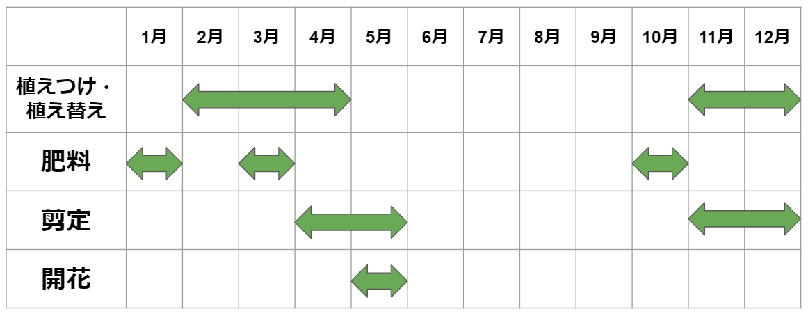 松の剪定は3種類ある 実施する時期や作業の手順を解説 ミツモア