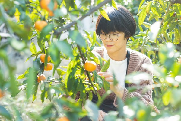 みかんの木を剪定しよう ベストな剪定時期と切る枝の選び方を解説 みかんの木を剪定しよう ベストな剪定時期と切る枝の選び方を解説