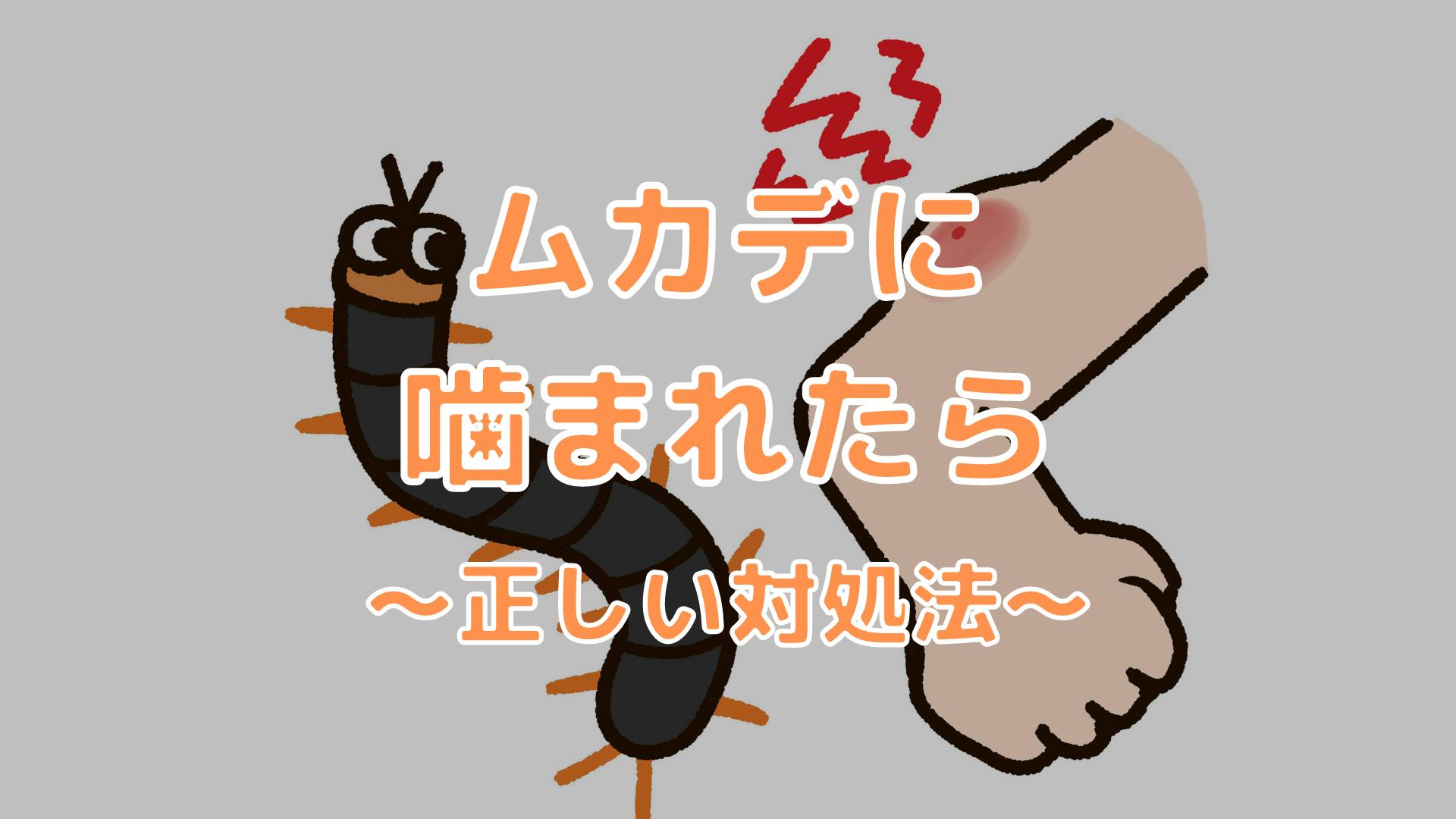 ムカデに噛まれたら正しい対処を どんな症状や痛みなら病院に行くべき ムカデに噛まれたら正しい対処を どんな症状や痛みなら病院に行くべき