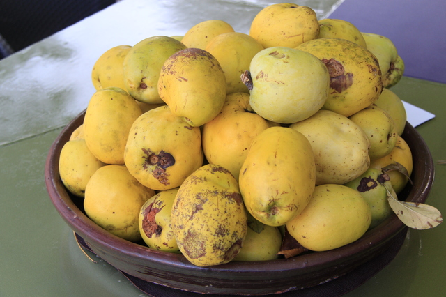 カリンの剪定方法や時期を知ろう 育て方のポイントも解説