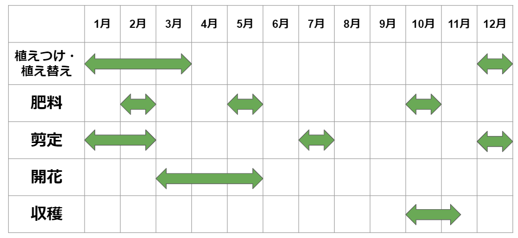カリンの剪定方法や時期を知ろう 育て方のポイントも解説