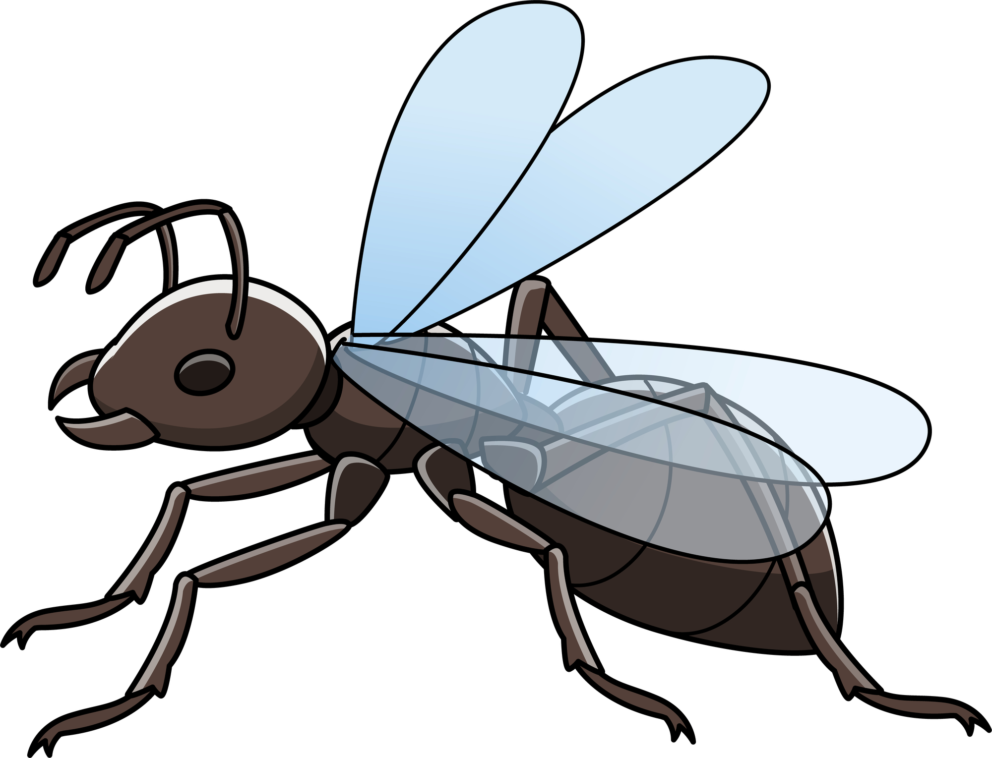 その羽アリはシロアリかも 黒アリとの見分け方や対処法を紹介