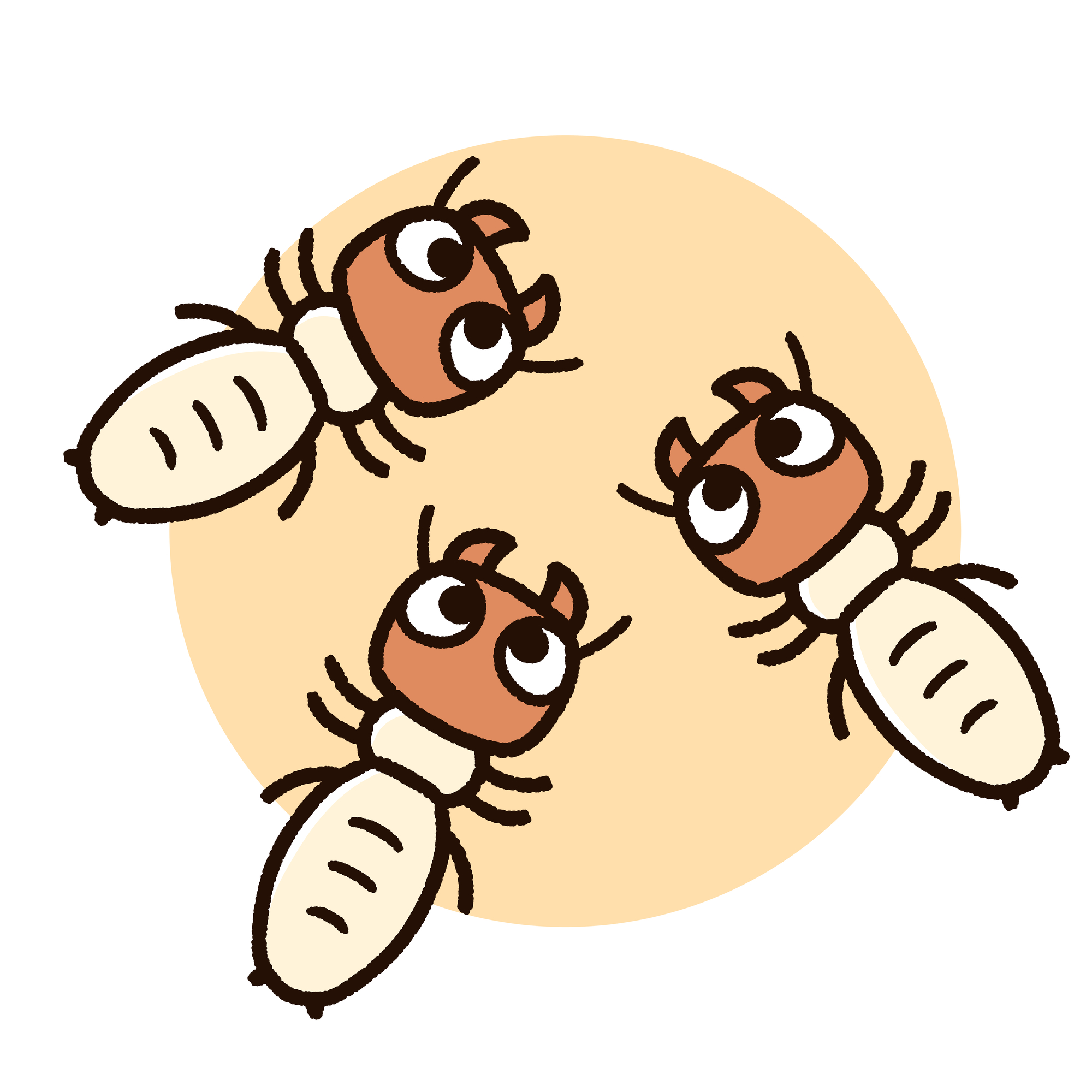 シロアリ調査は無料 調査内容や業者の選定ポイントを紹介