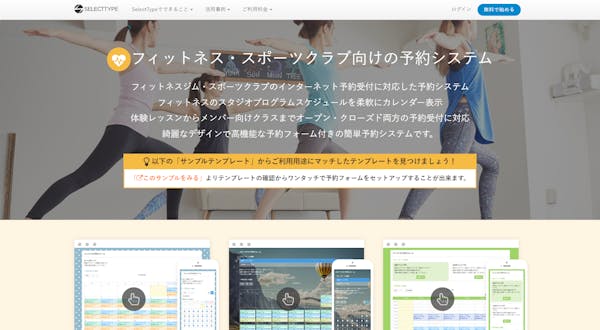 SelectTypeの製品イメージ画像