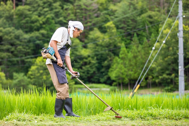 【兼業農家の確定申告完全ガイド】節税につながるルールや控除を知って確定申告をしよう