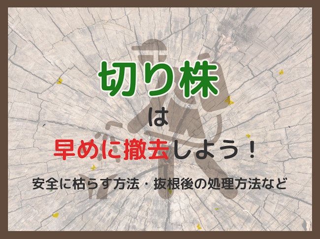 切り株は除去剤・除草剤で早めに処理！根っこの除去や切った木の処分方法